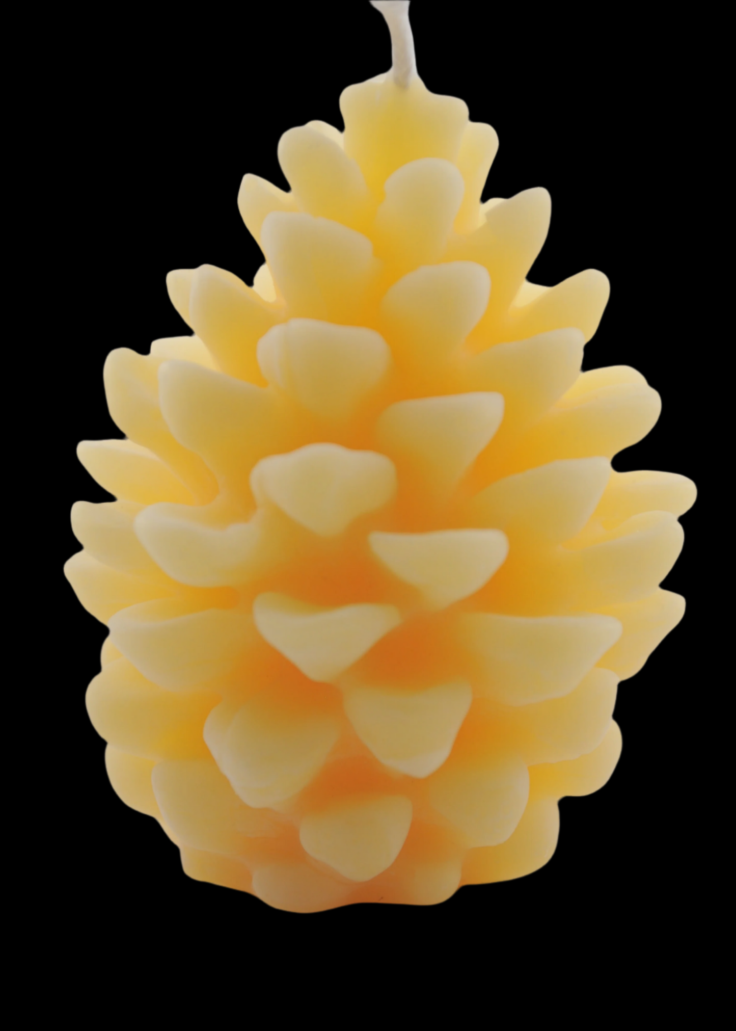 Medium Pine Cone